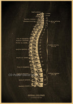 Anatomical Skeleton Chalkboard Poster