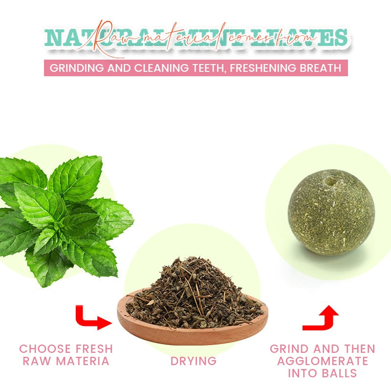 Healthy Cat Catnip Toy Ball