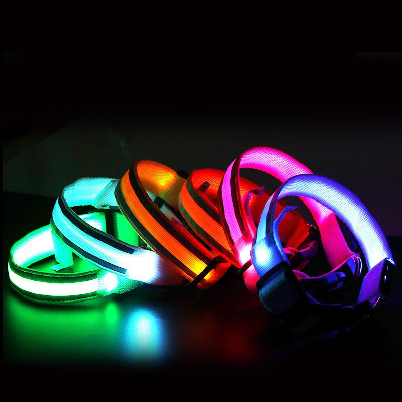 LED Glowing Dog Collar Adjustable Anti-Lost