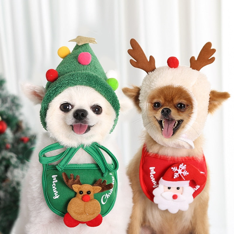 Christmas Costume