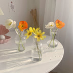 Transparent Glass Vase
