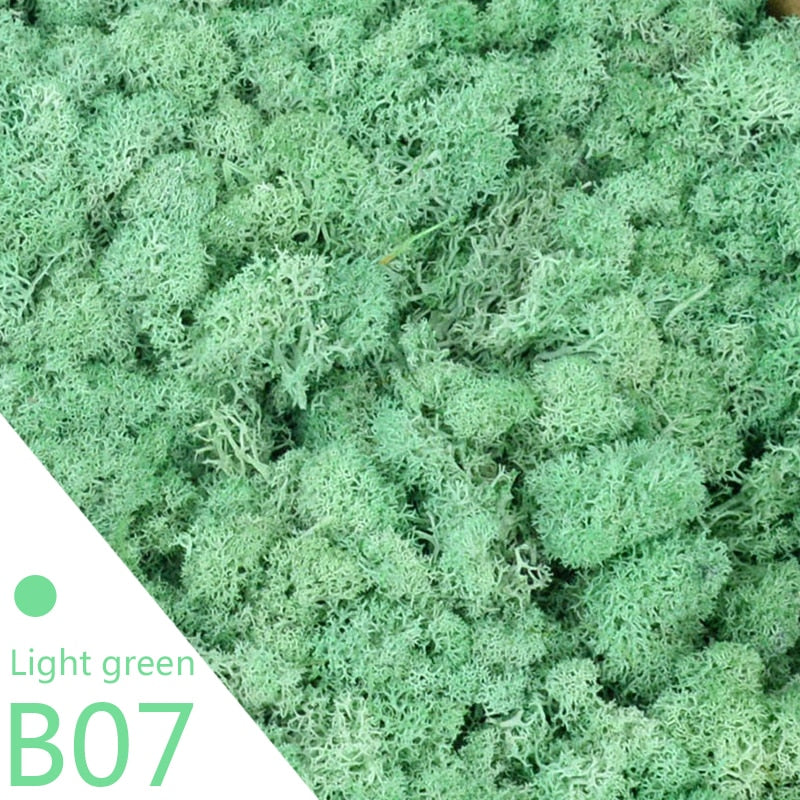 Artificial Moss Green Plant