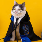 Pet Cape Costume