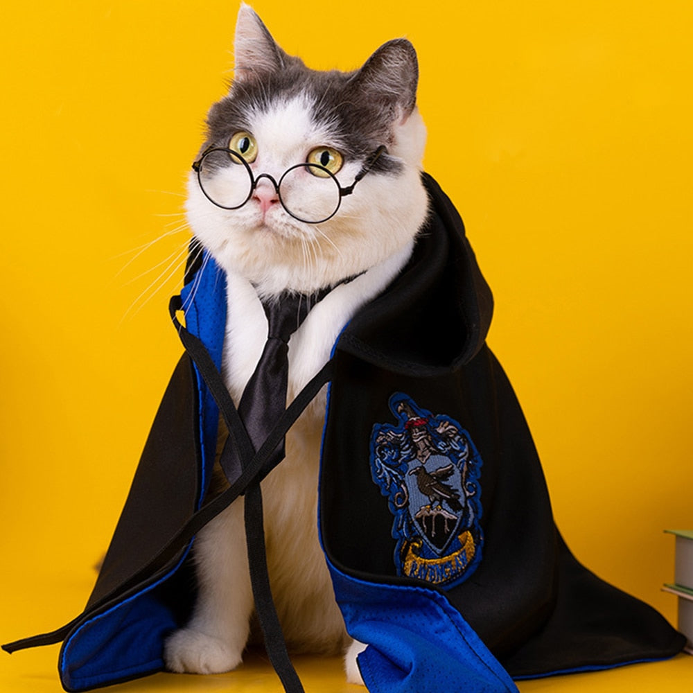 Pet Cape Costume