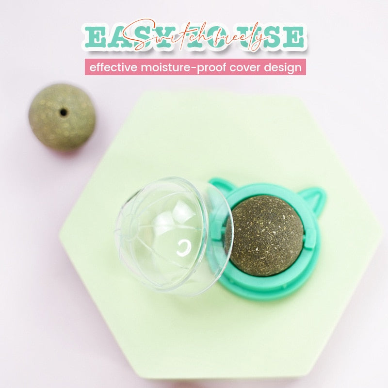 Healthy Cat Catnip Toy Ball