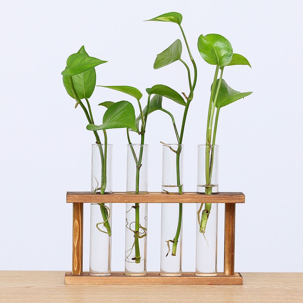 Glass and Wood Vase