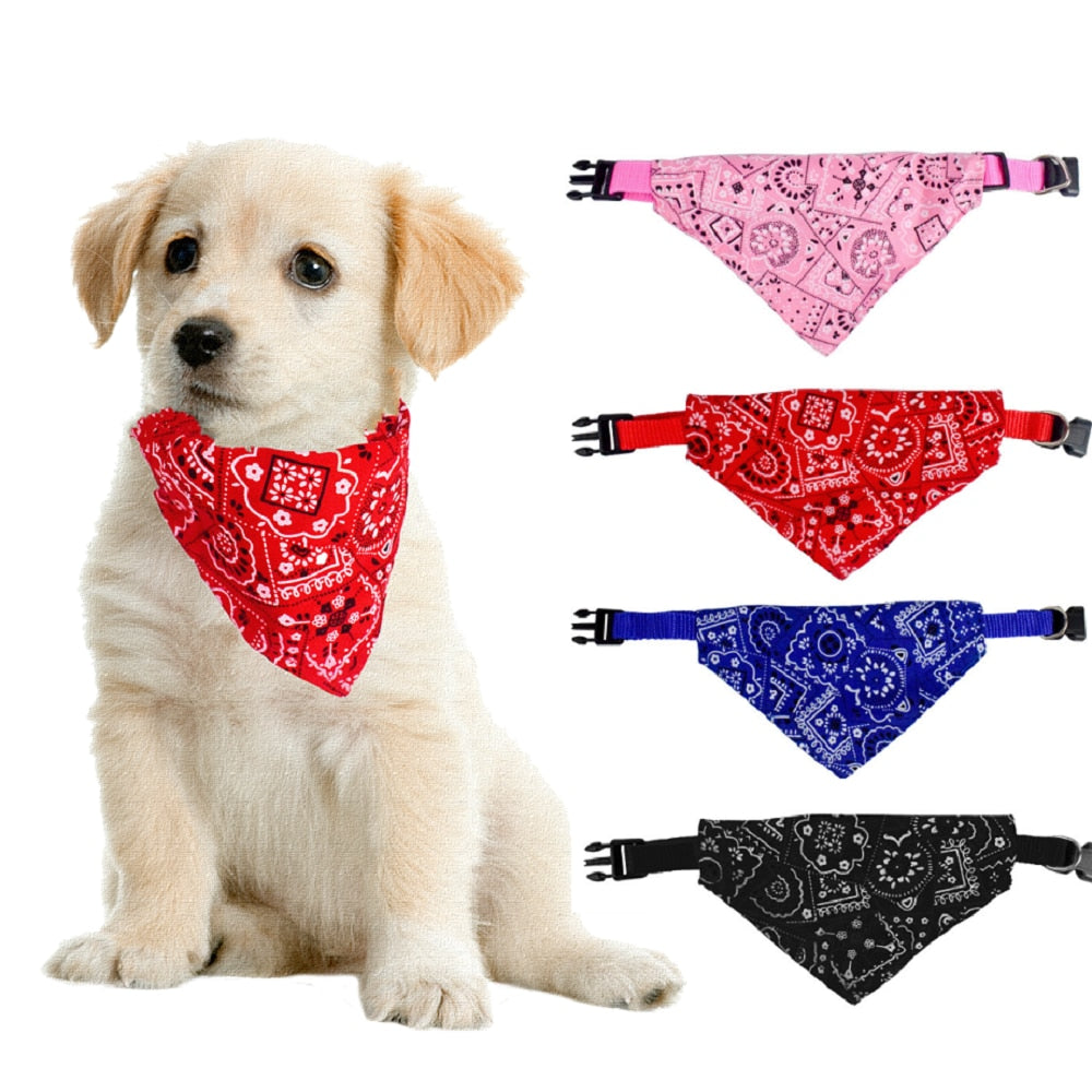 Dog Neck Scarf