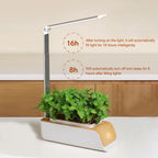 Indoor Garden Planter Grower