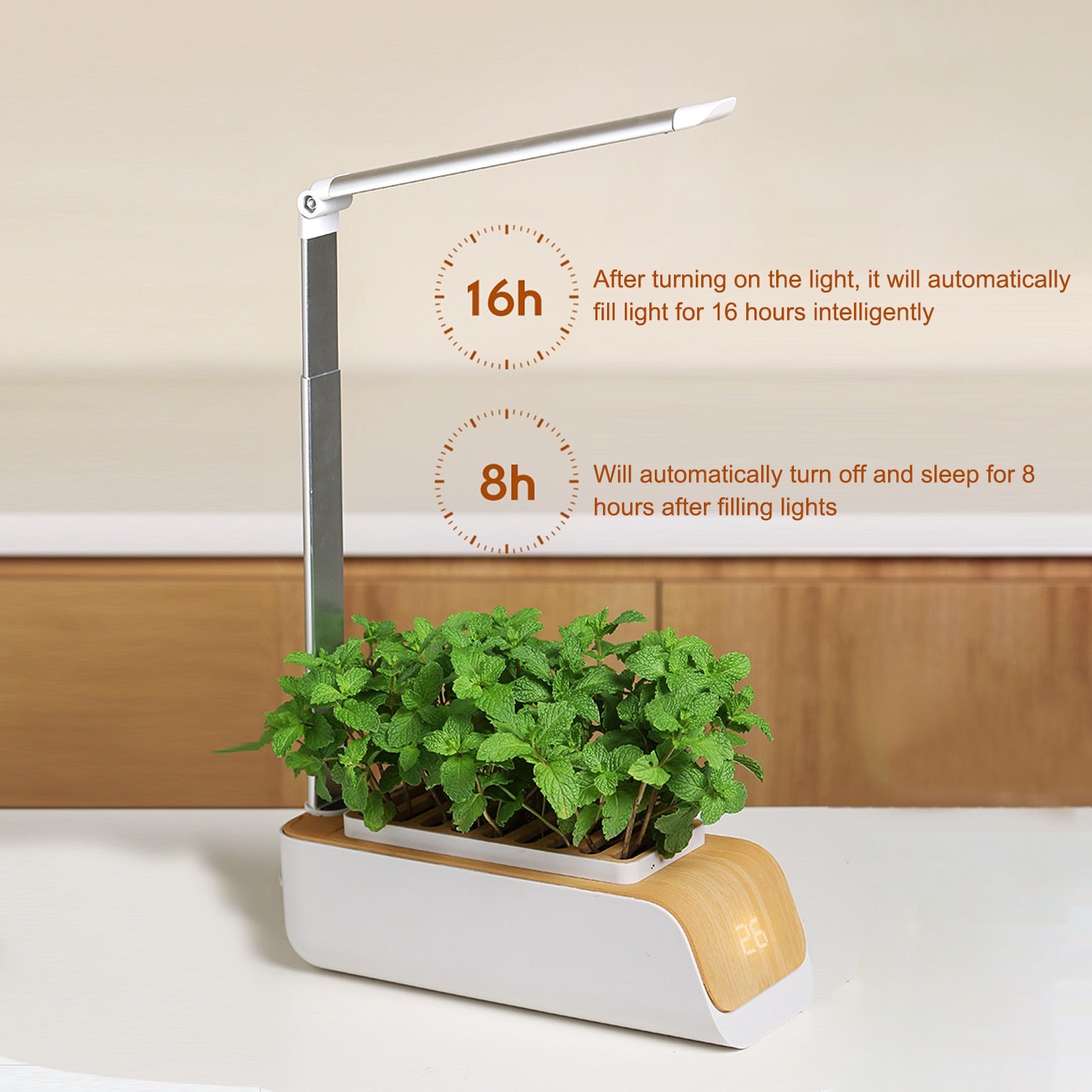 Indoor Garden Planter Grower