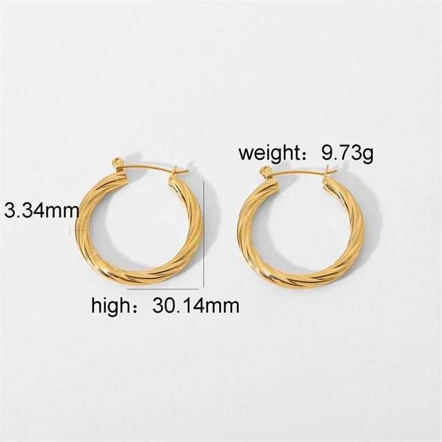 Chunky Hoop Earrings