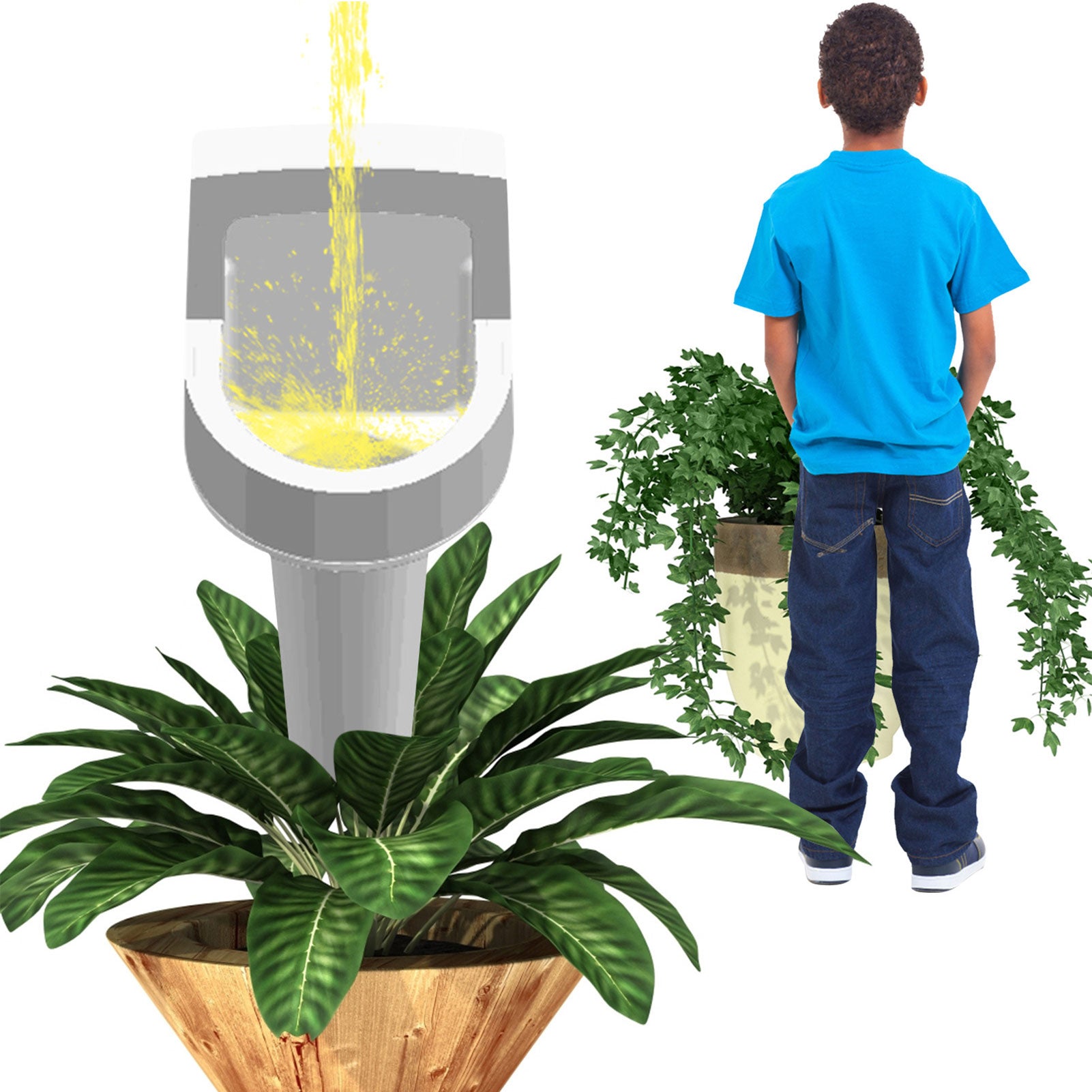 Plant Watering Device