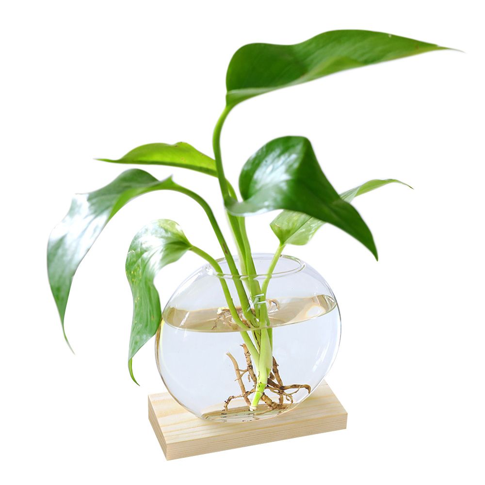 Glass and Wood Vase
