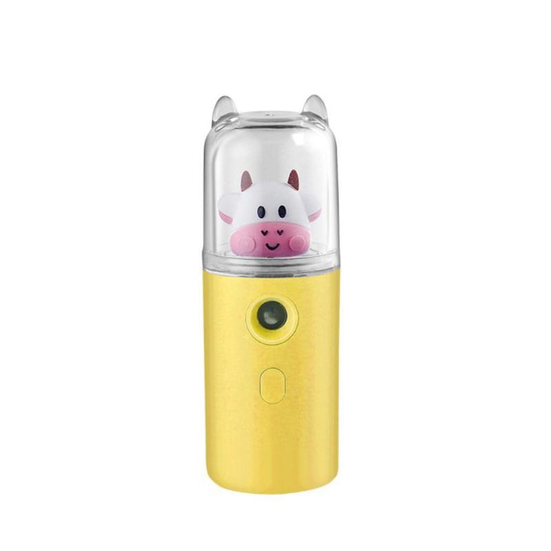 30ml Mini Nano Mist Facial Sprayer