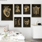 Anatomical Skeleton Chalkboard Poster