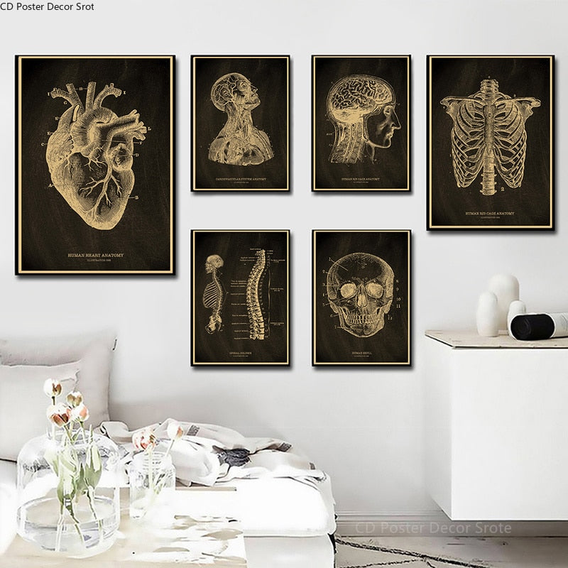Anatomical Skeleton Chalkboard Poster
