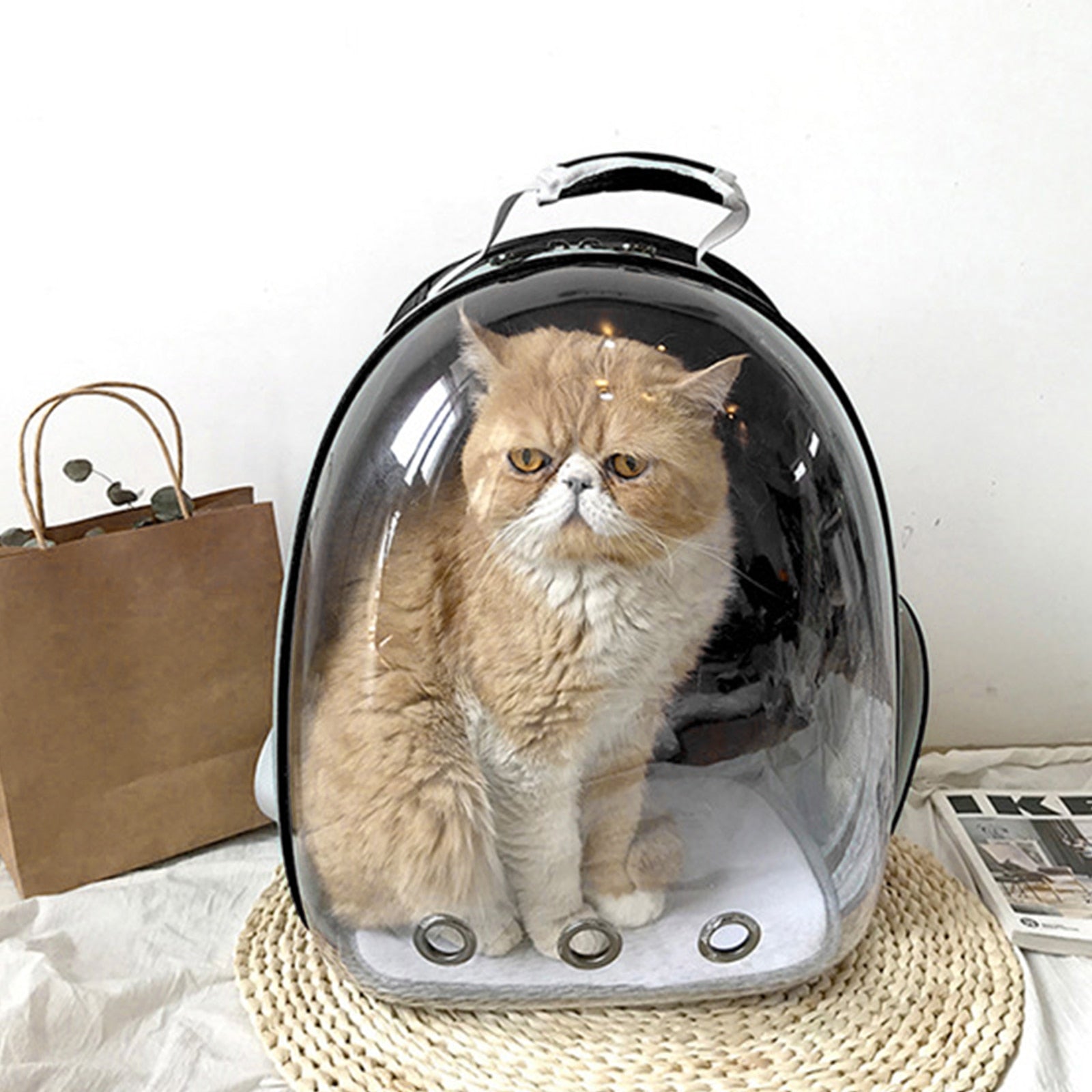 Breathable Outdoor Pet Carrier Bag