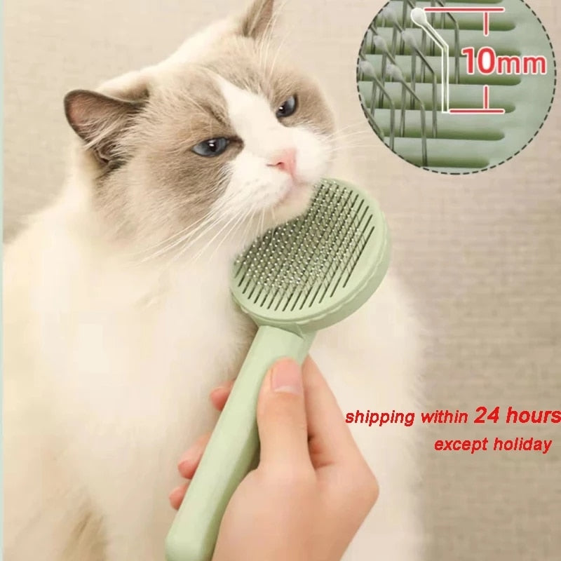 Cat Brush Grooming Brush