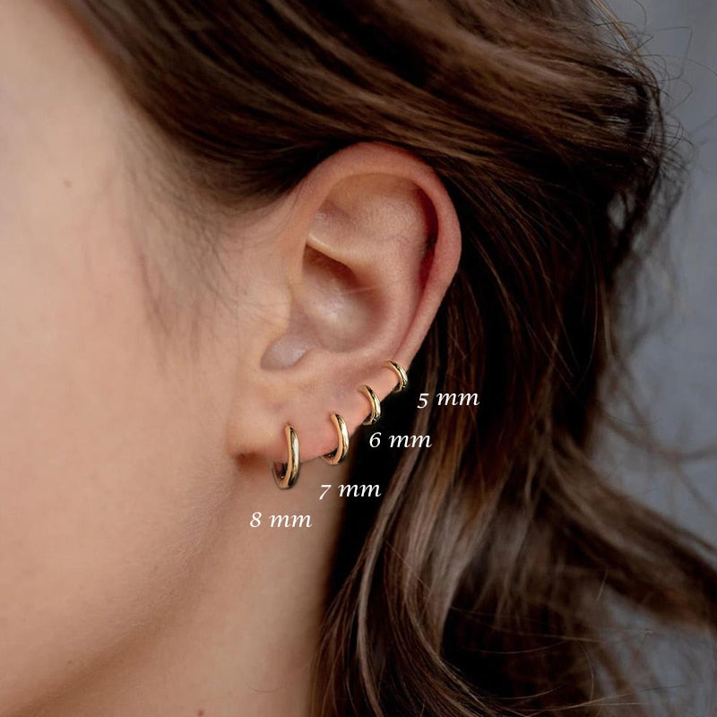 Rose Gold Small Hoop Earrings
