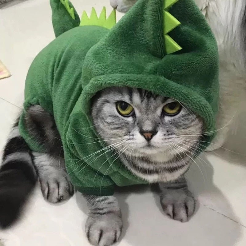 Pet Dinosaur Costume