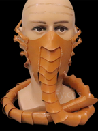 Scorpion Mask