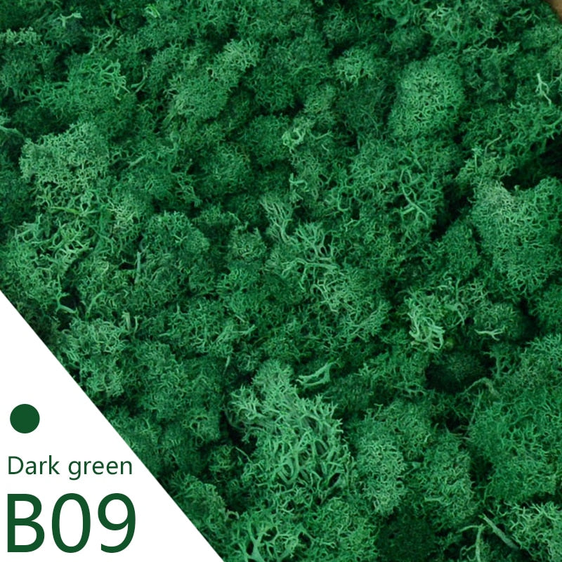 Artificial Moss Green Plant