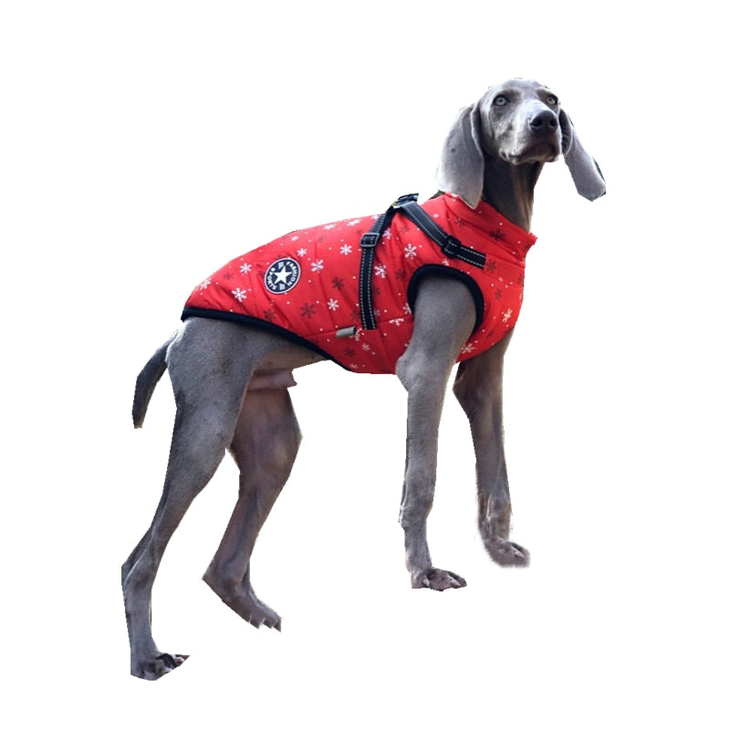 Large Pet Dog Jacket With Harness