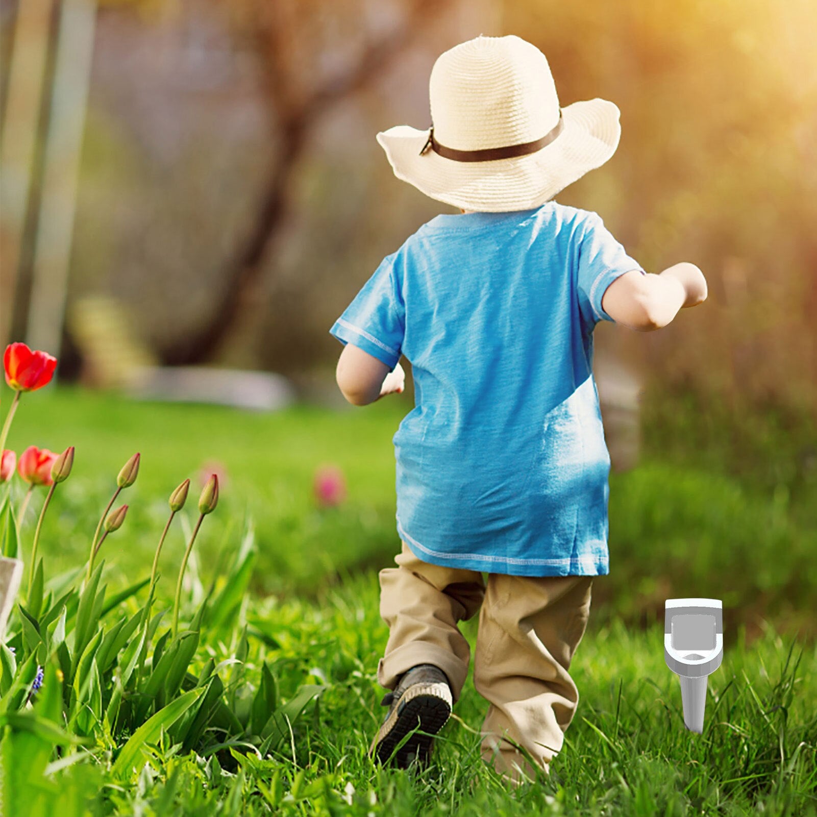 Plant Watering Device