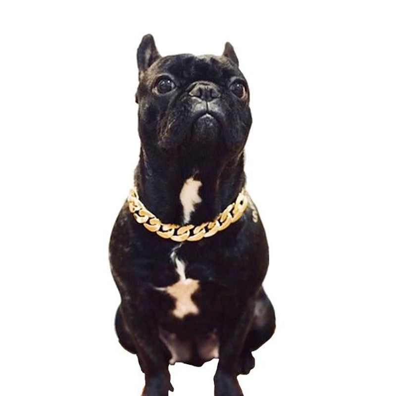 Funny Small Dog Chain