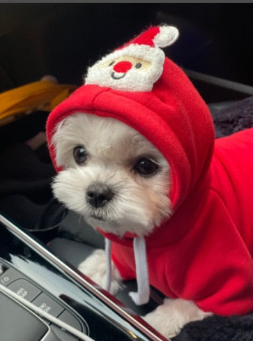Christmas Pet Custome