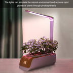 Indoor Garden Planter Grower