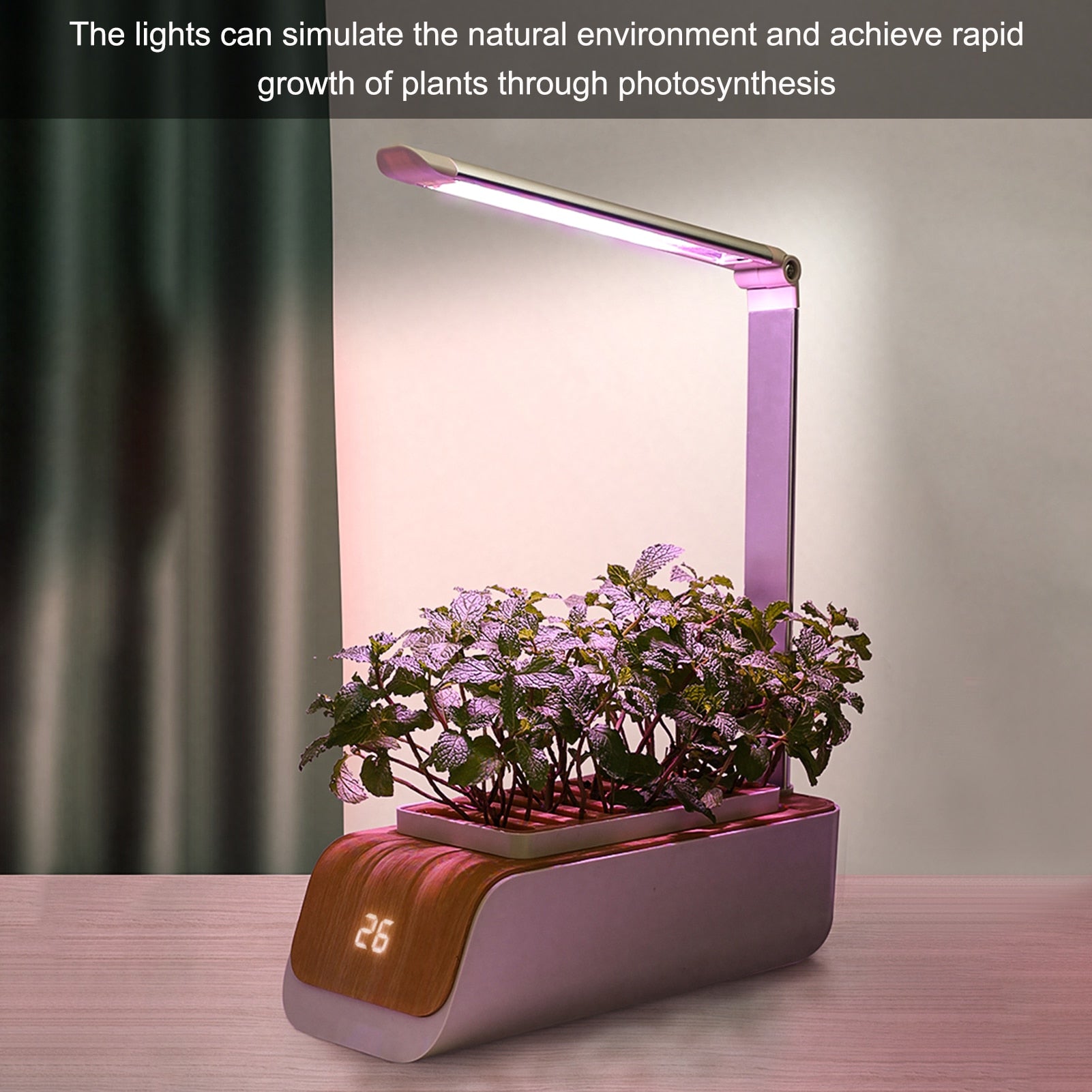 Indoor Garden Planter Grower