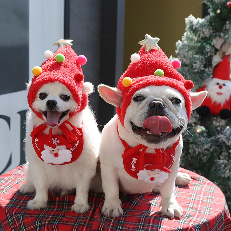 Christmas Costume