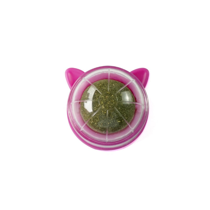 Healthy Cat Catnip Toy Ball