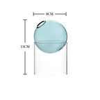 Nordic Spherical Hydroponic Glass Vase