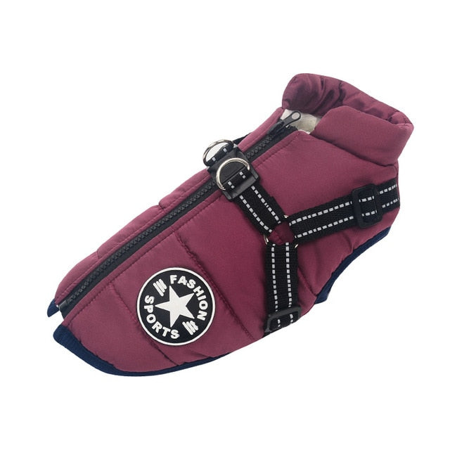 Large Pet Dog Jacket With Harness