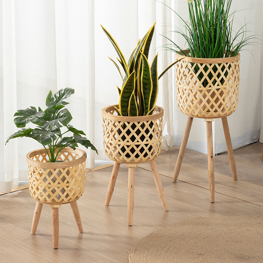 Bamboo Plant Pot