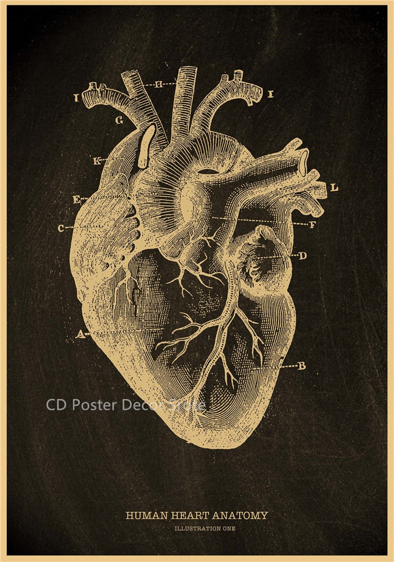 Anatomical Skeleton Chalkboard Poster